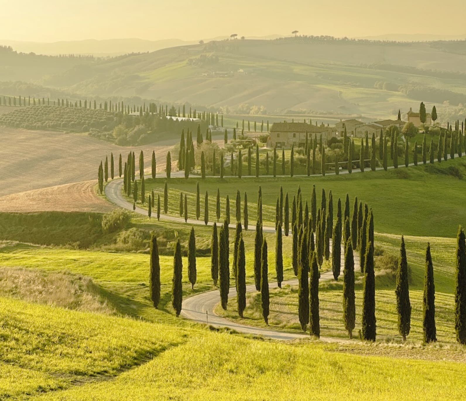 Italian cooking masterclass in Tuscany