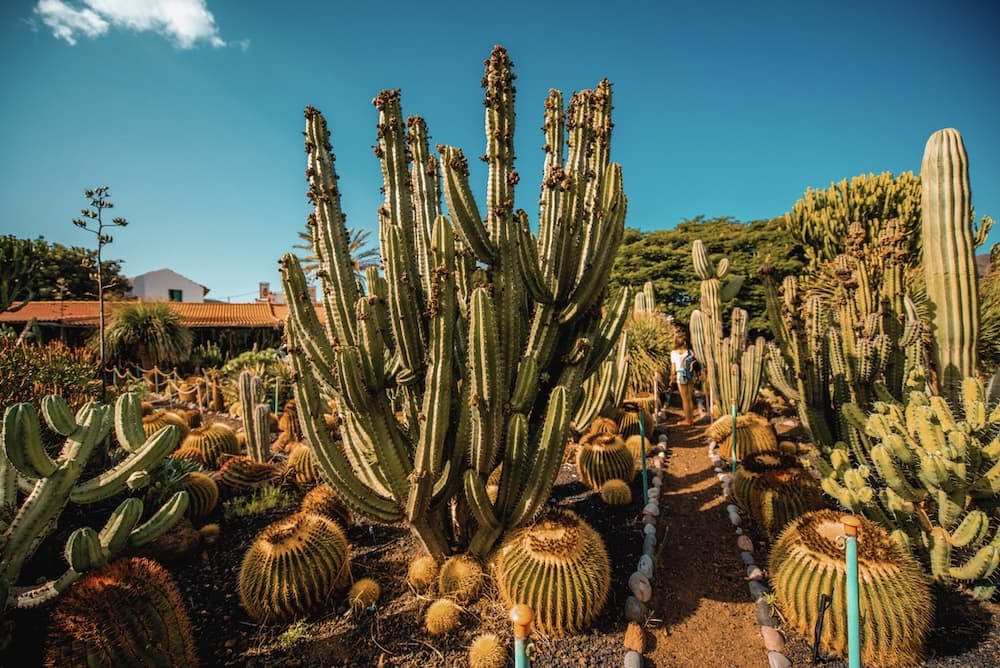 Scenic ocean view from volcanic cliffs of Lanzarote