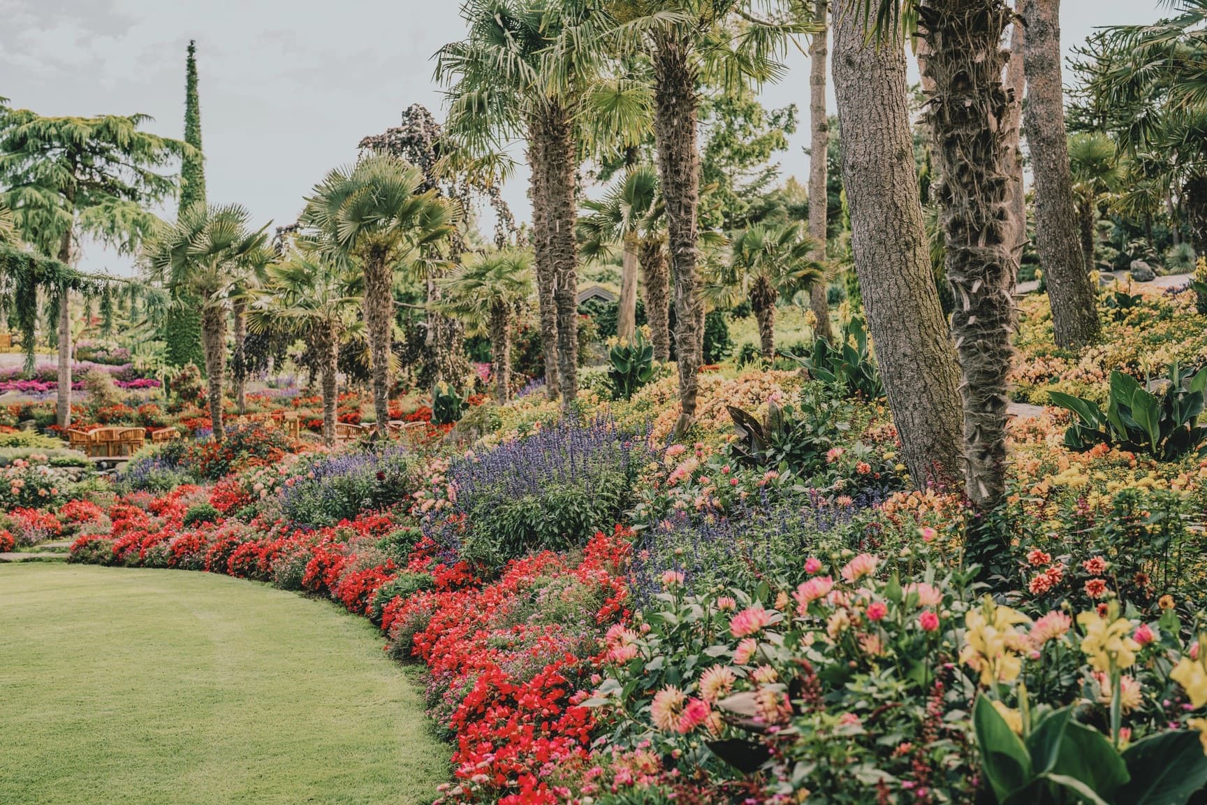 Tropical island Flor og Fjære