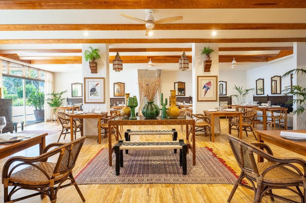 Padel Tour in Tenerife