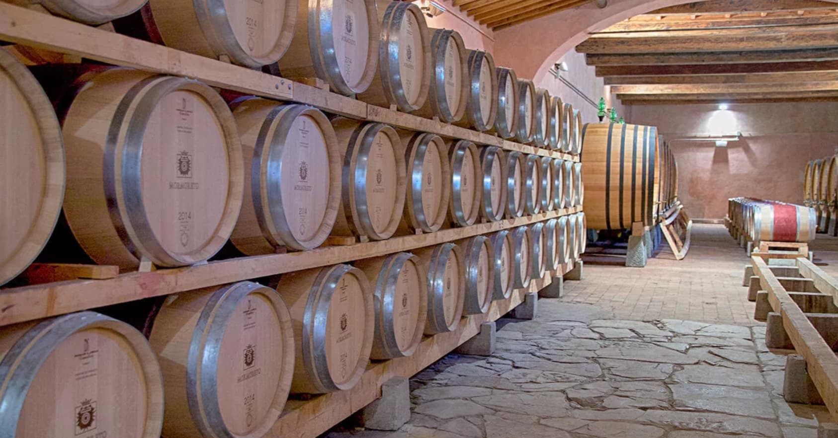 Truffle hunting in the forests of Tuscany