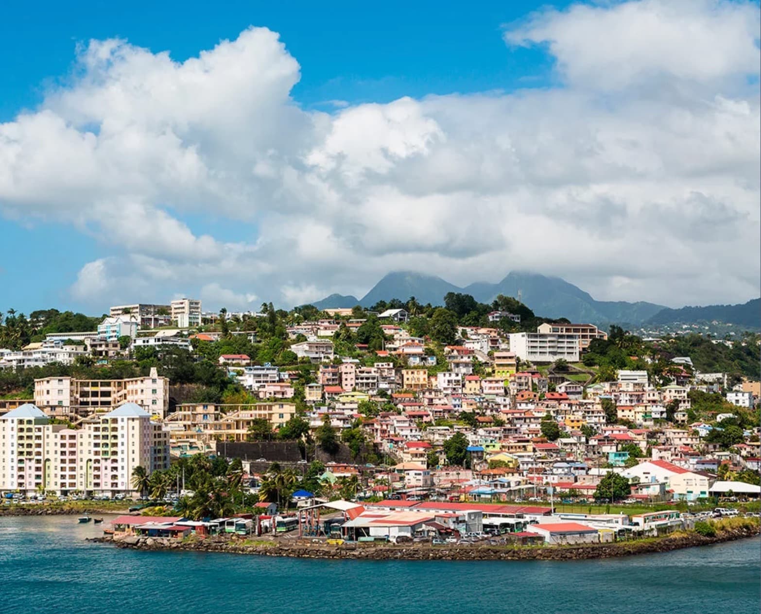 Snorkeling in warm Caribbean waters near a coral garden