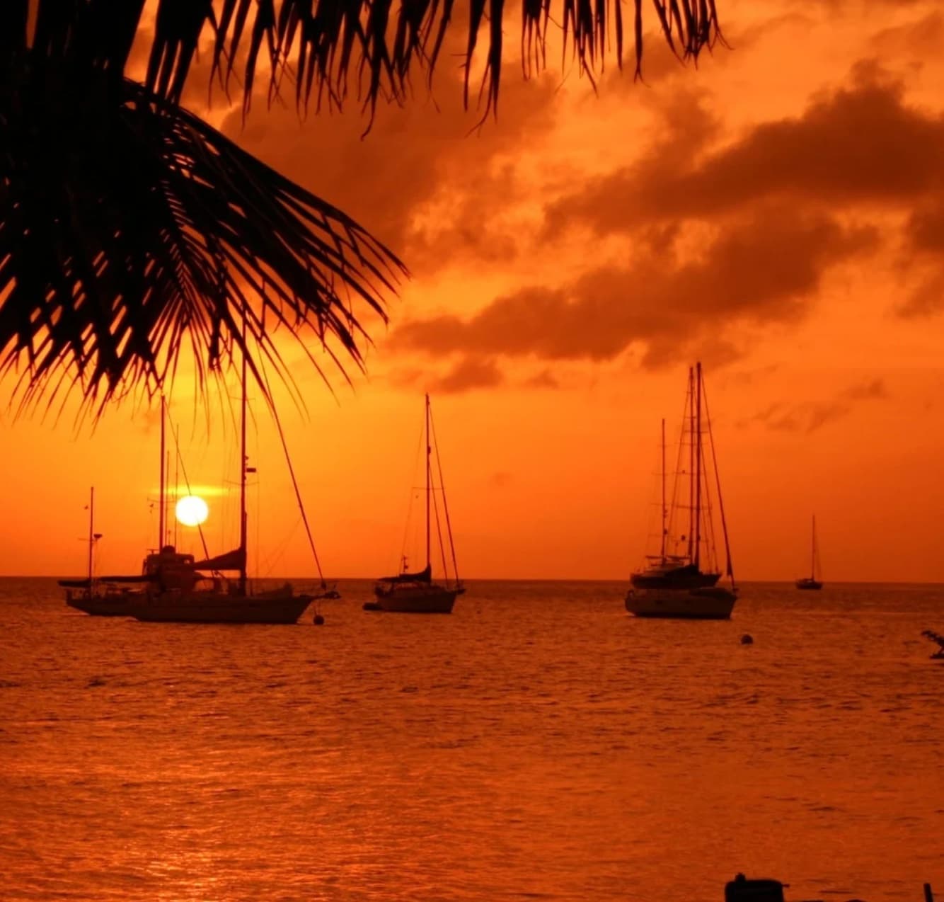 Fresh Creole cuisine served on a table overlooking the bay