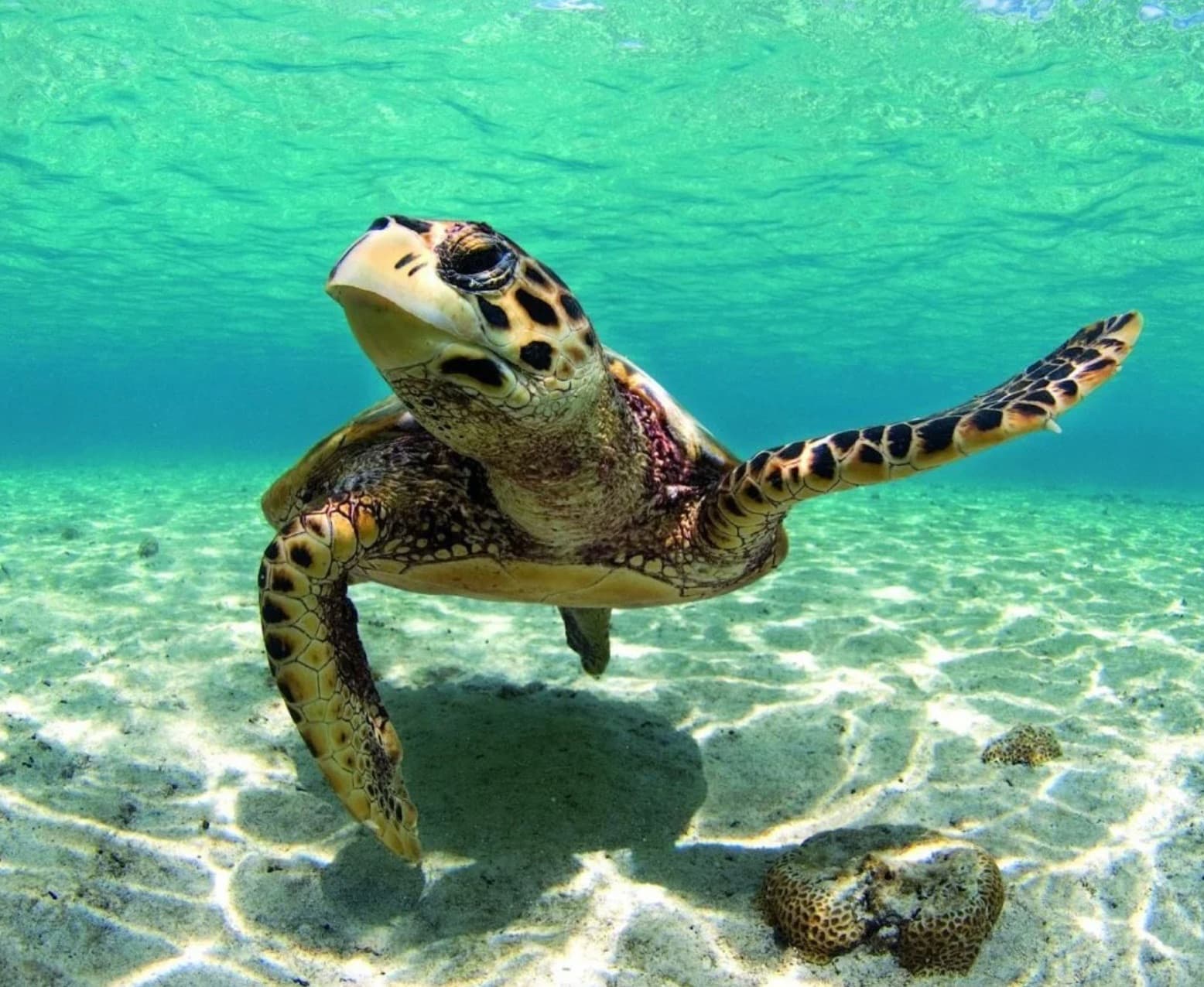 Swimmers enjoying a secluded cove with crystal-clear Caribbean water