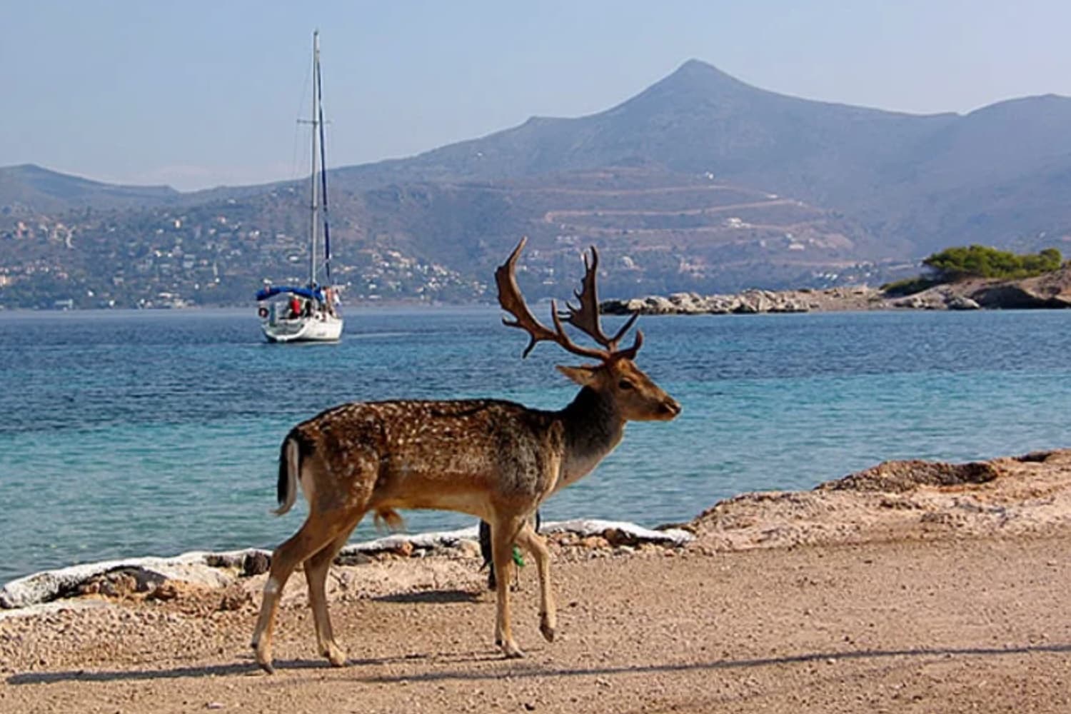 Scenic view of Nafplio town with Bourtzi fortress in the bay