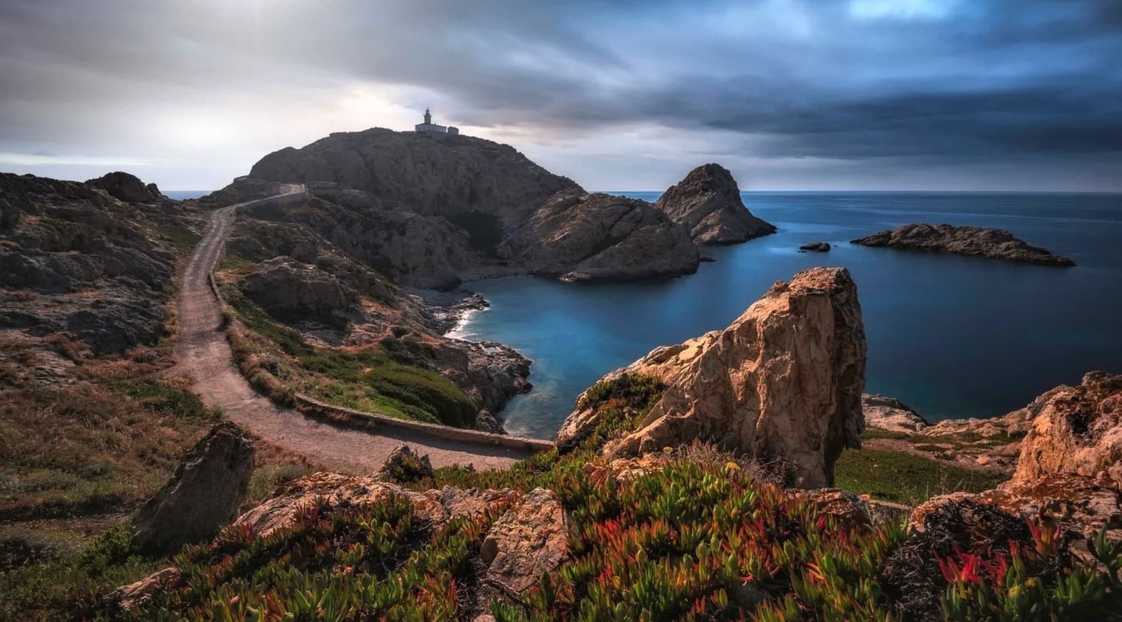 Snorkeling in the transparent waters of Corsica's nature reserve