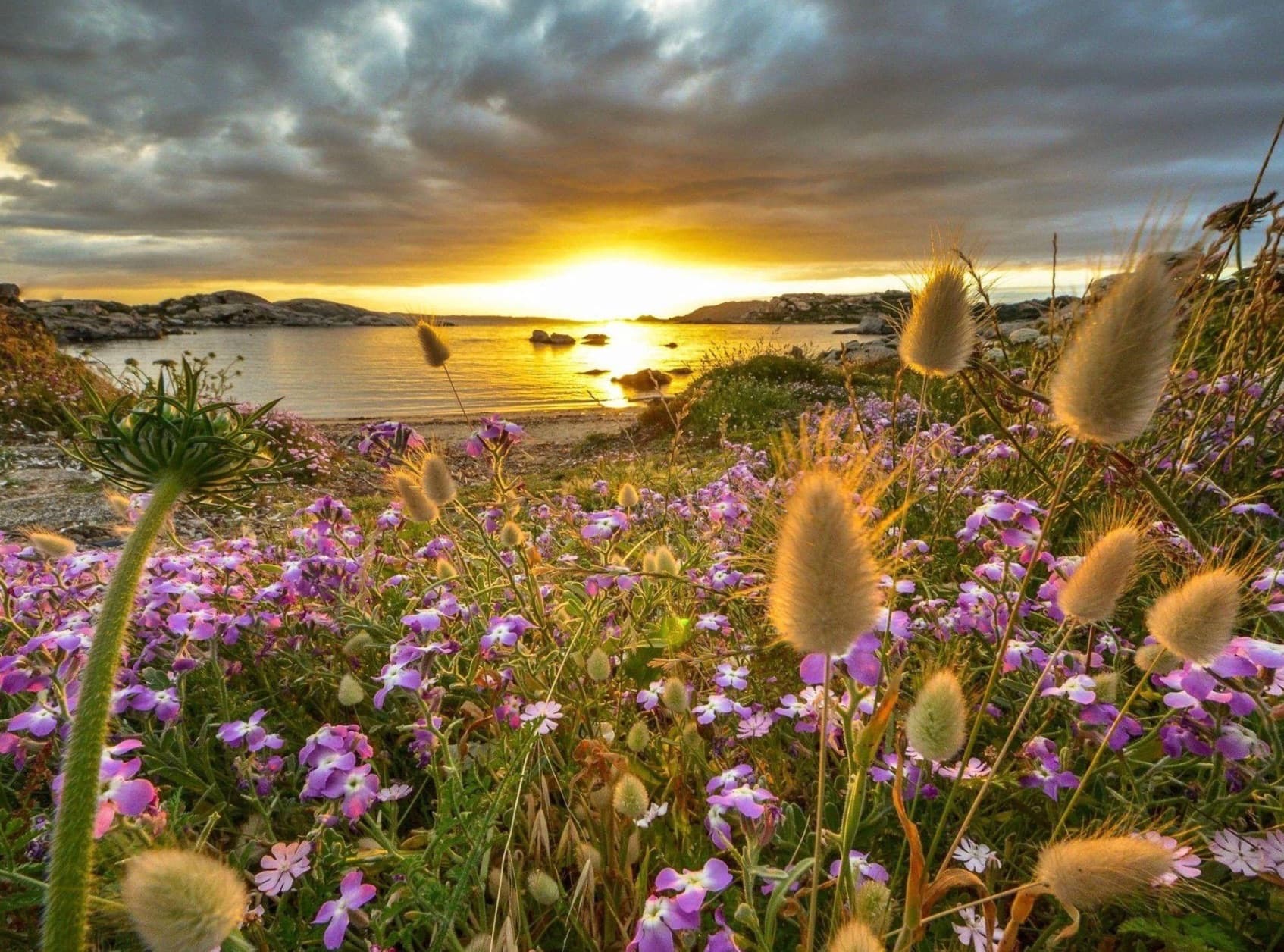 Rocky coves with crystal-clear water along the Costa Smeralda, Sardinia