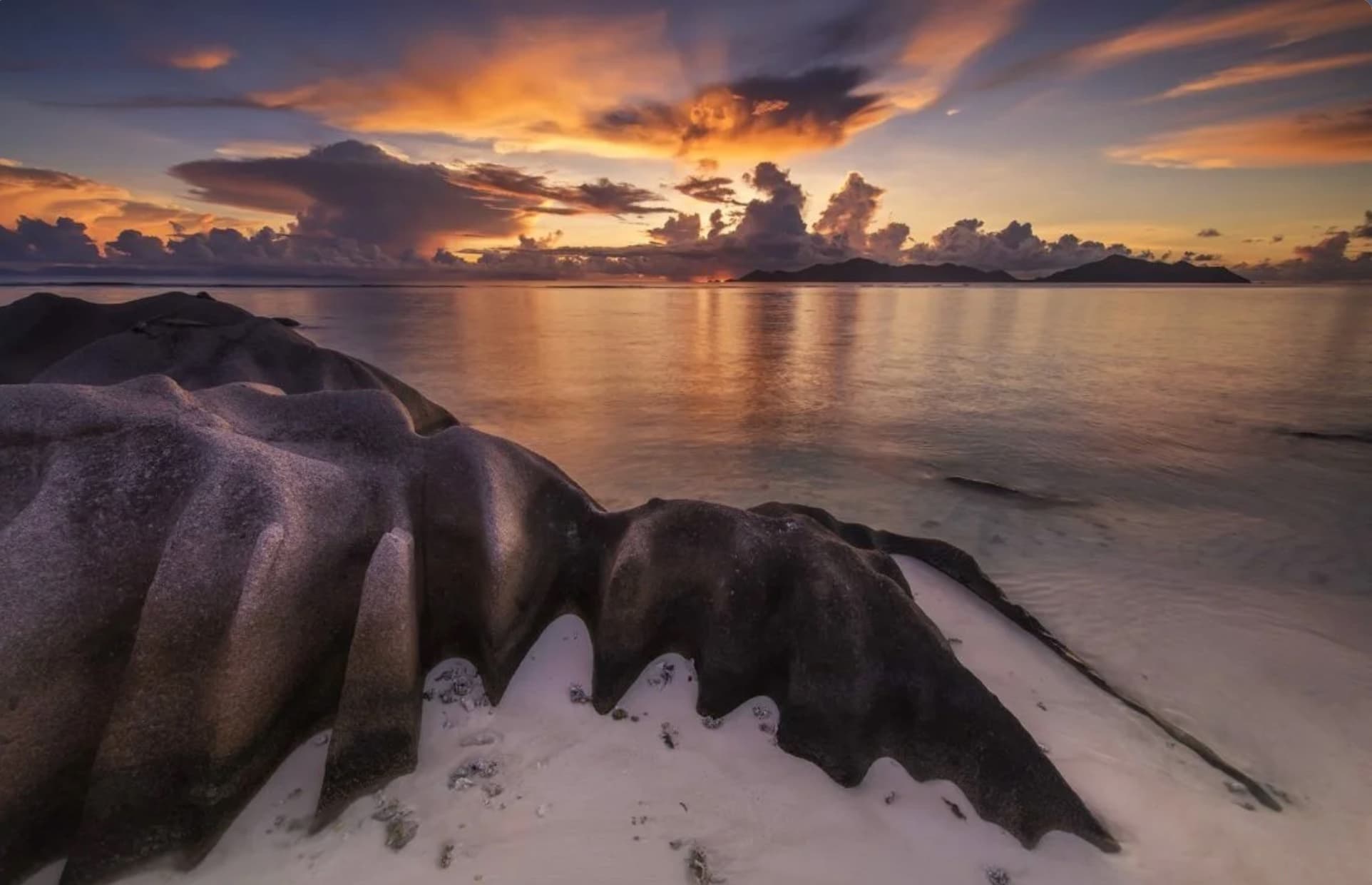 Snorkeling among colorful tropical fish near a coral reef in the Seychelles