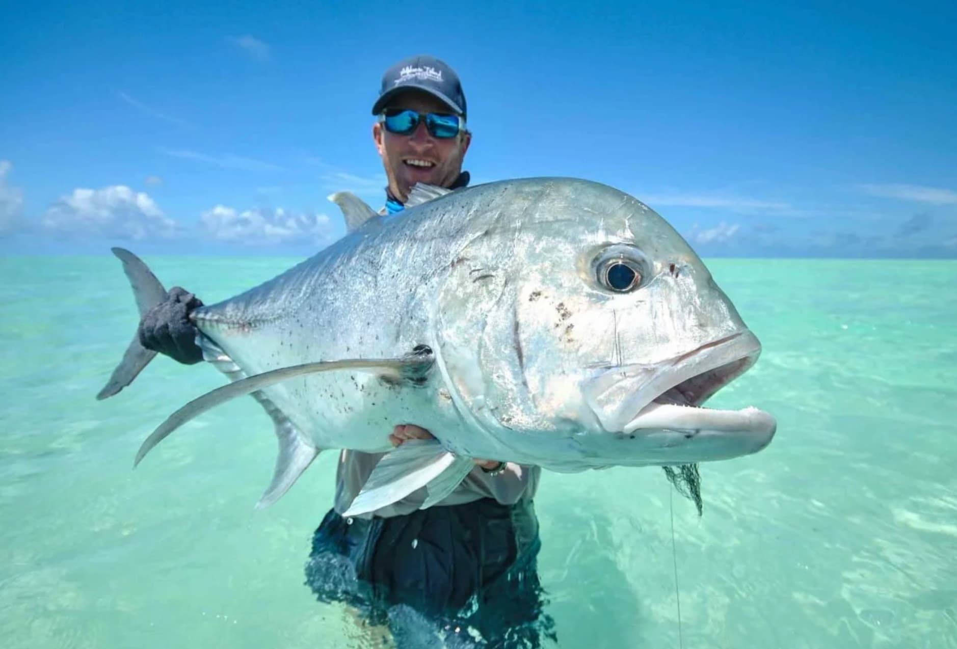 Giant Aldabra tortoise on a sandy path surrounded by tropical vegetation