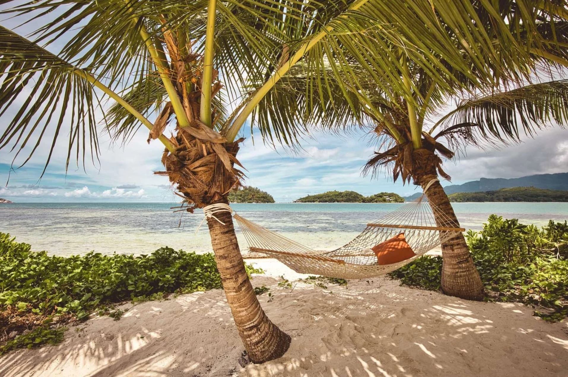 Lush tropical jungle meeting white sand beach on a Seychelles island